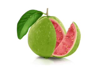GUAVA